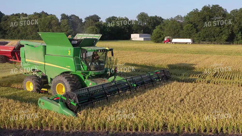 Rice Harvest 79502