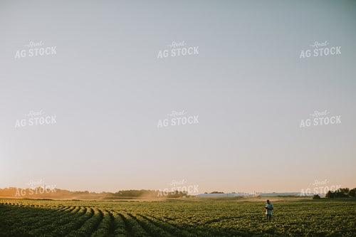 Farmer in Soybean Field with Tablet 6148