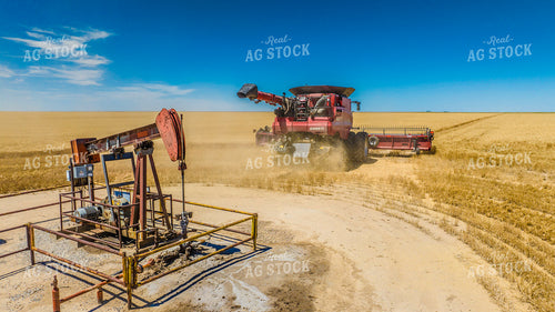 Wheat Harvest 199061