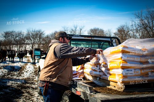 Unloading Bags of Mineral 214069