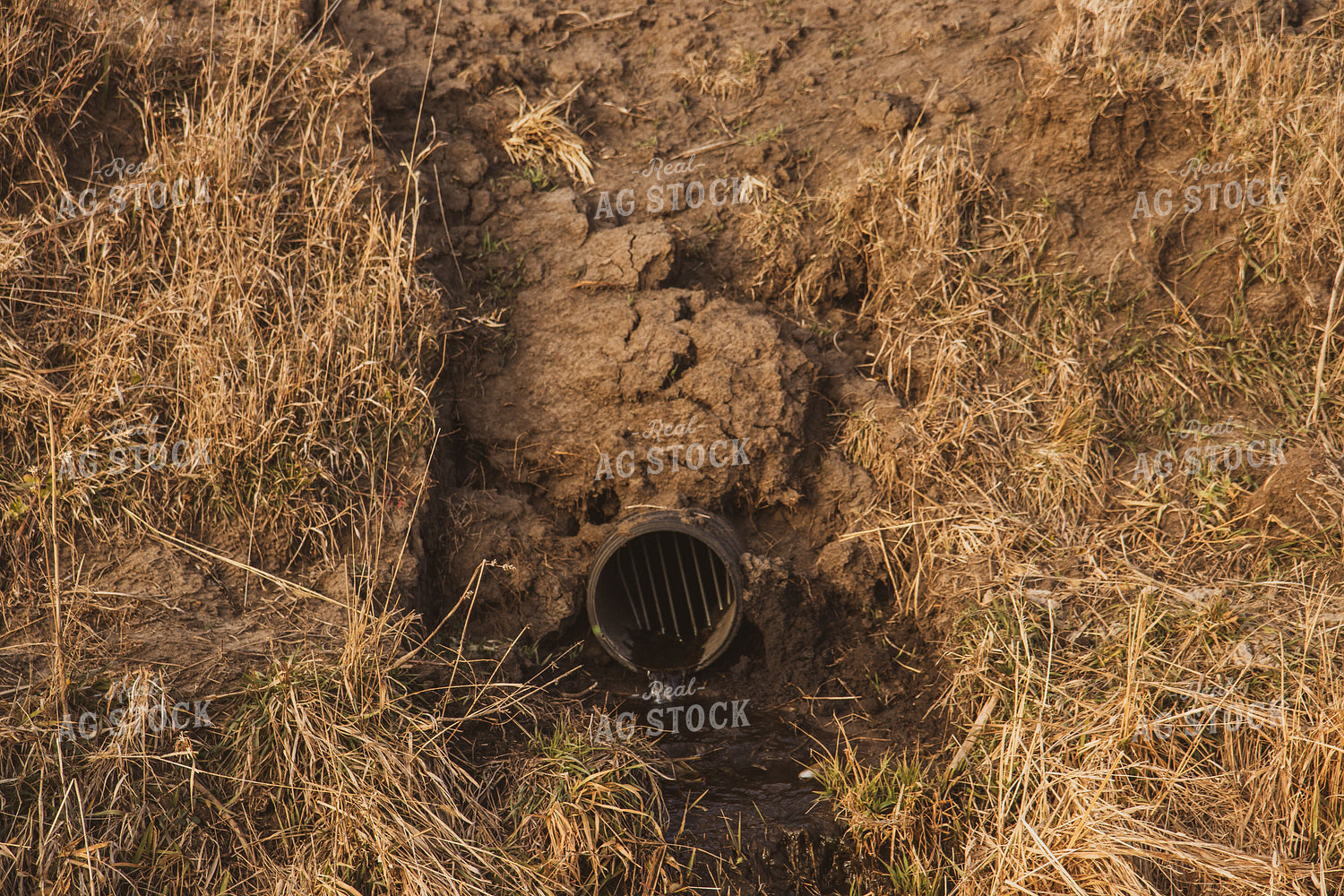Farm Drainage Tile Outlet 67240