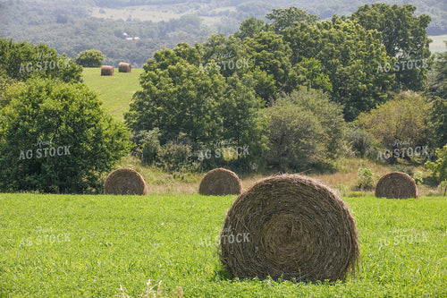 Round Bales 145044