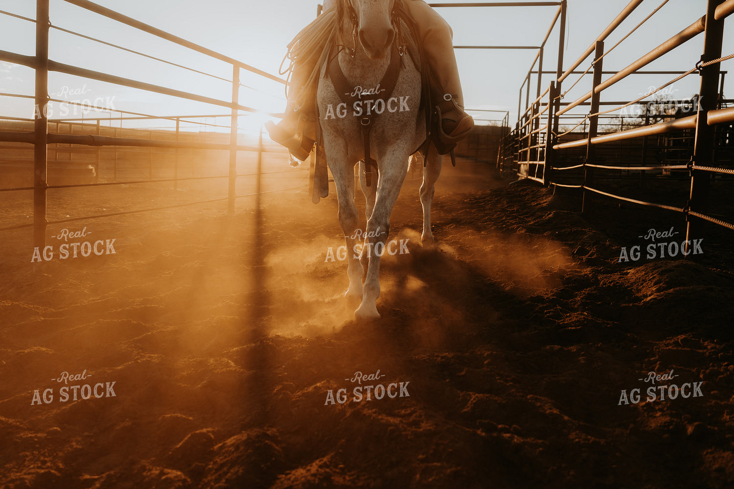 Cowboy on Horseback 61196
