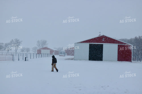 Farmer Walking in Snow 299299
