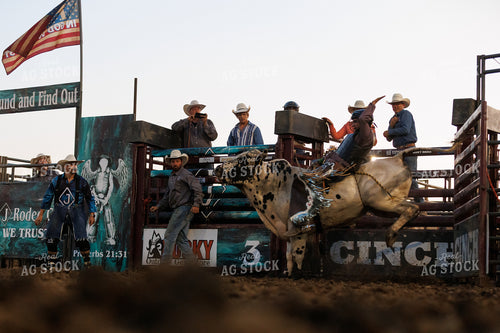 Rodeo 52899