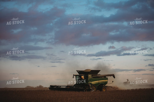 Combine Harvesting Soybeans at Sunset 3478