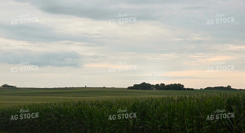 Crop Duster Flying in the Distance 25307