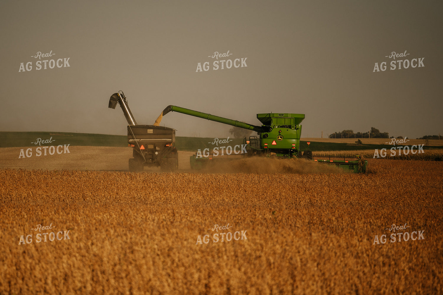 Soybean Harvest 185129