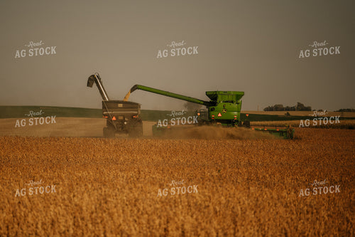 Soybean Harvest 185129