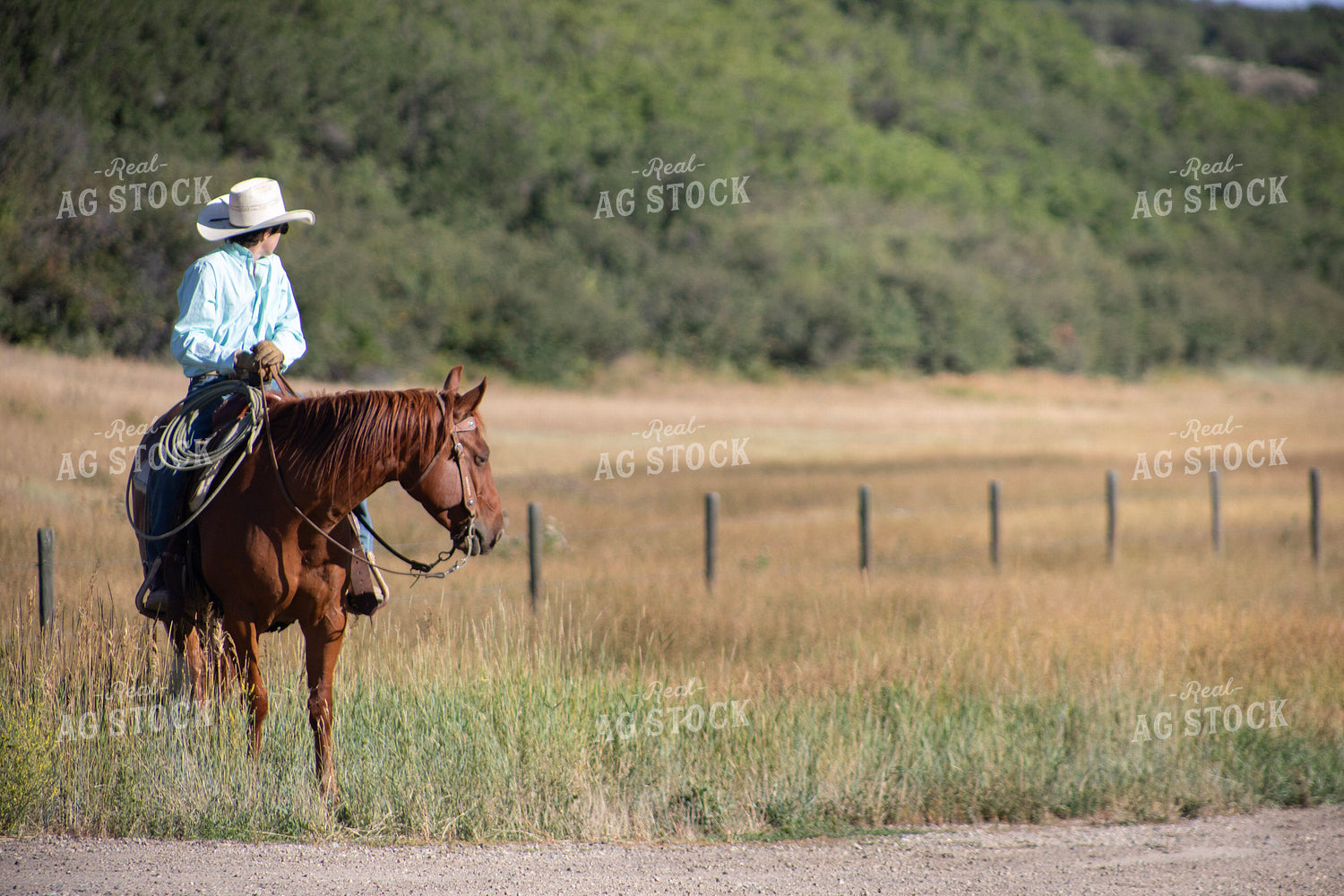 Cowboy on Horseback 117388