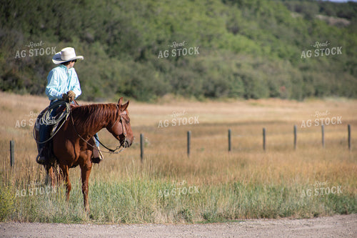 Cowboy on Horseback 117388