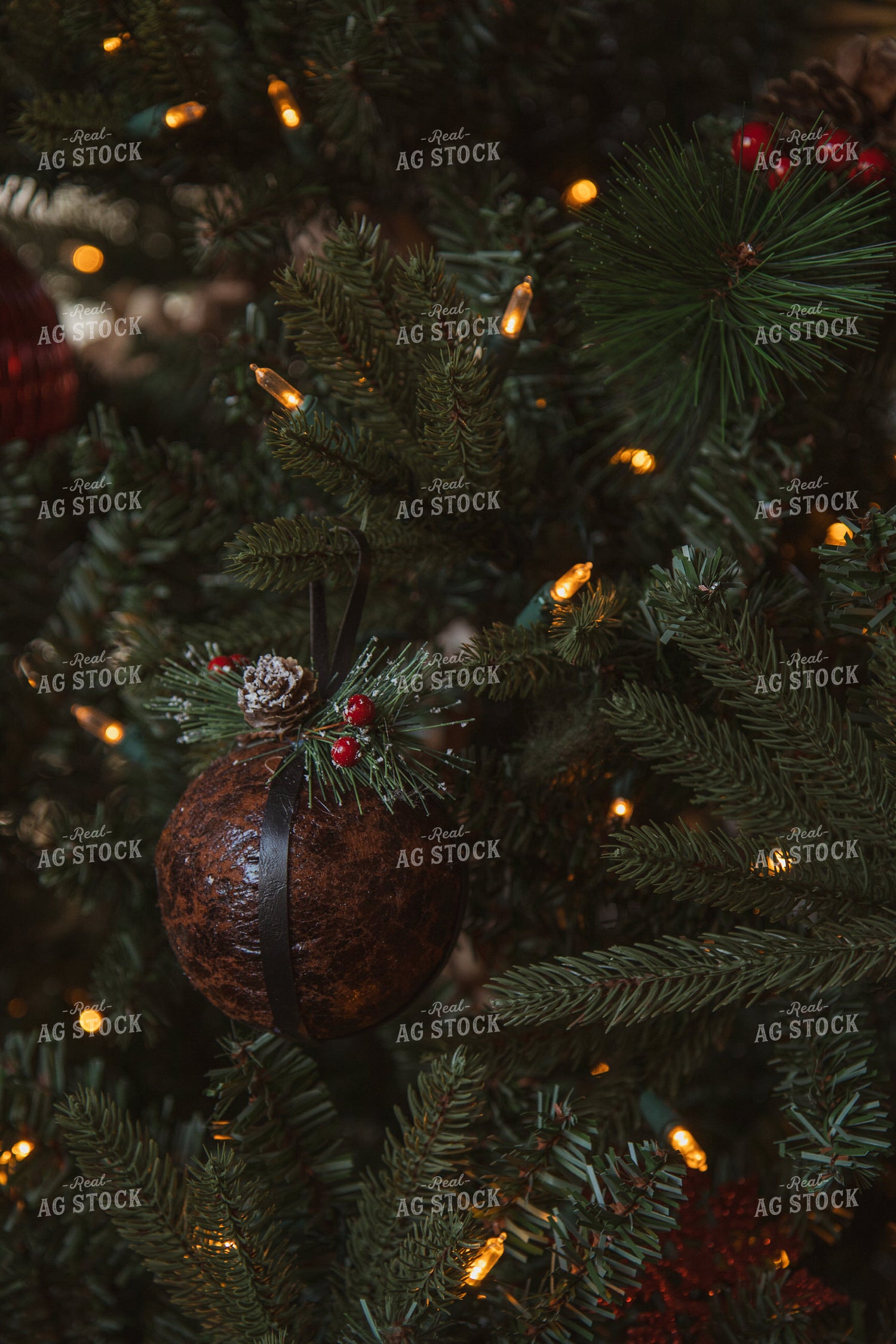 Ornaments on Tree 67879