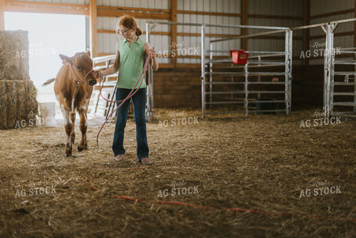Farm Kid with Show Cow 7880