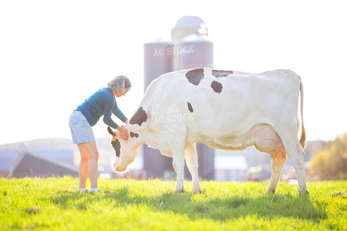 Holstein Cow and Farmer 55124