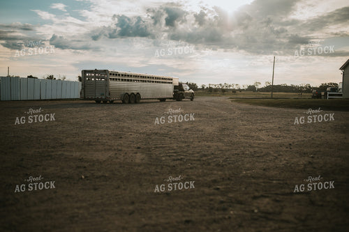 Truck and Livestock Trailer 6493