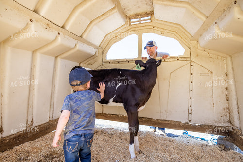 Farmer and Farm Kid in Calf Hutch 270342