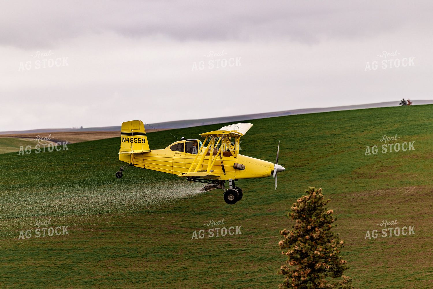 Crop Duster 188140