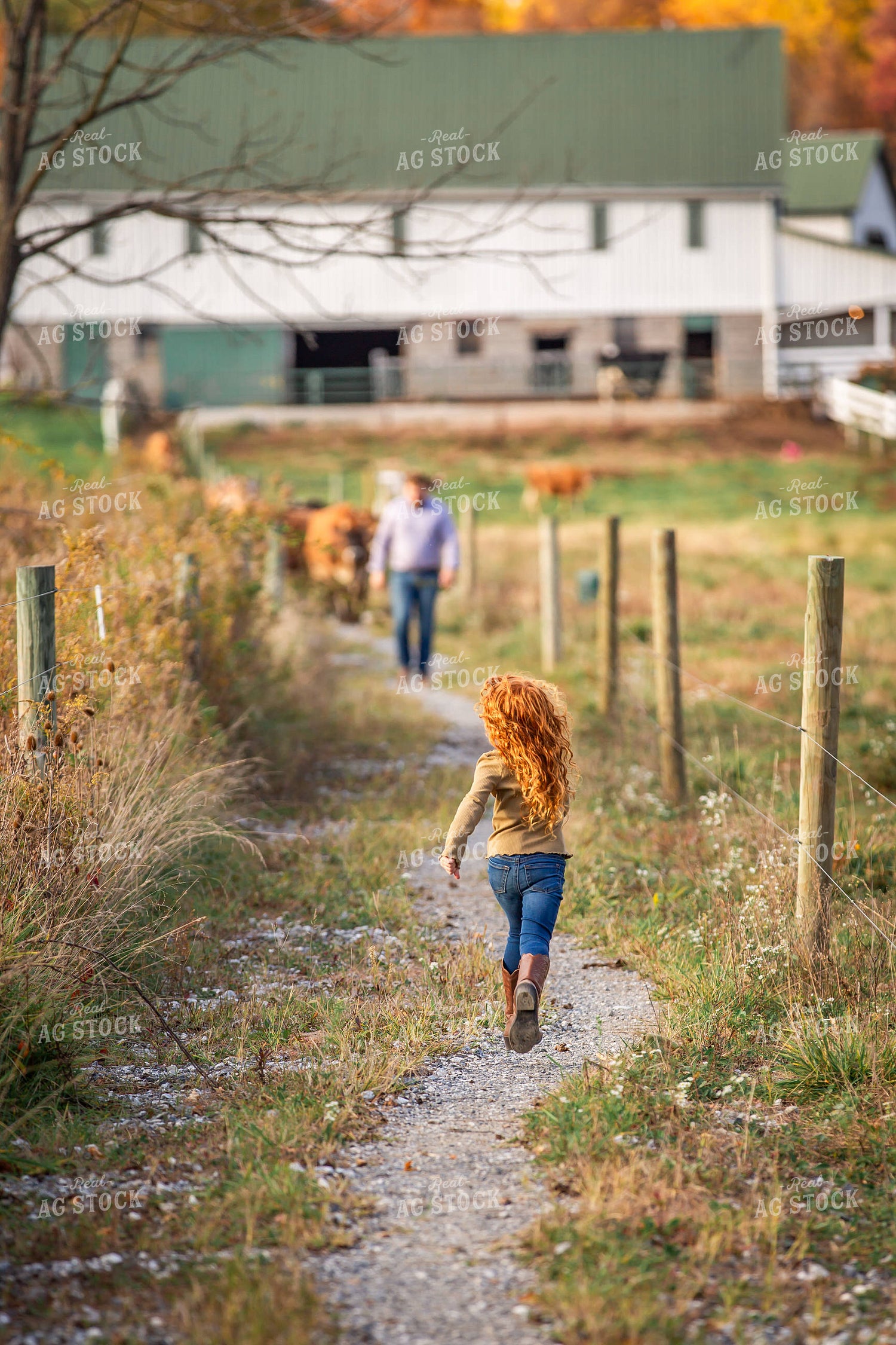Farm Kid Running to Greet Farmer 270153