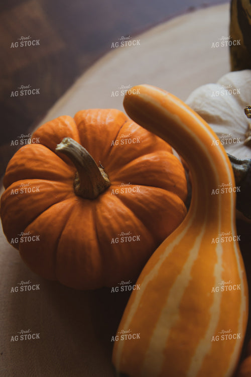 Mini Gourds 67910