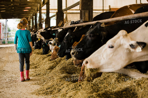Dairy 2688