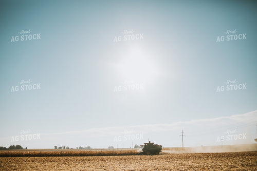 Harvesting Corn 4670
