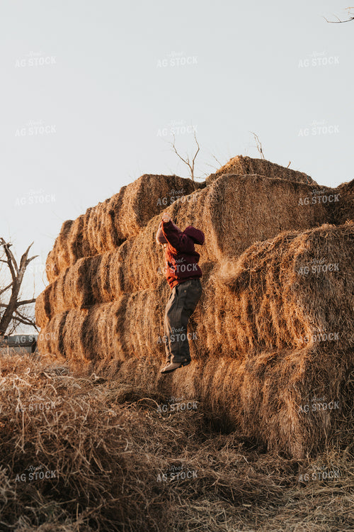 Ranch Kid Playing in Hay 61233