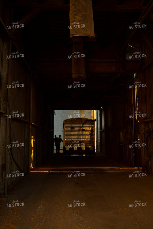 Truck Dumping at Grain Elevator Pit 7268