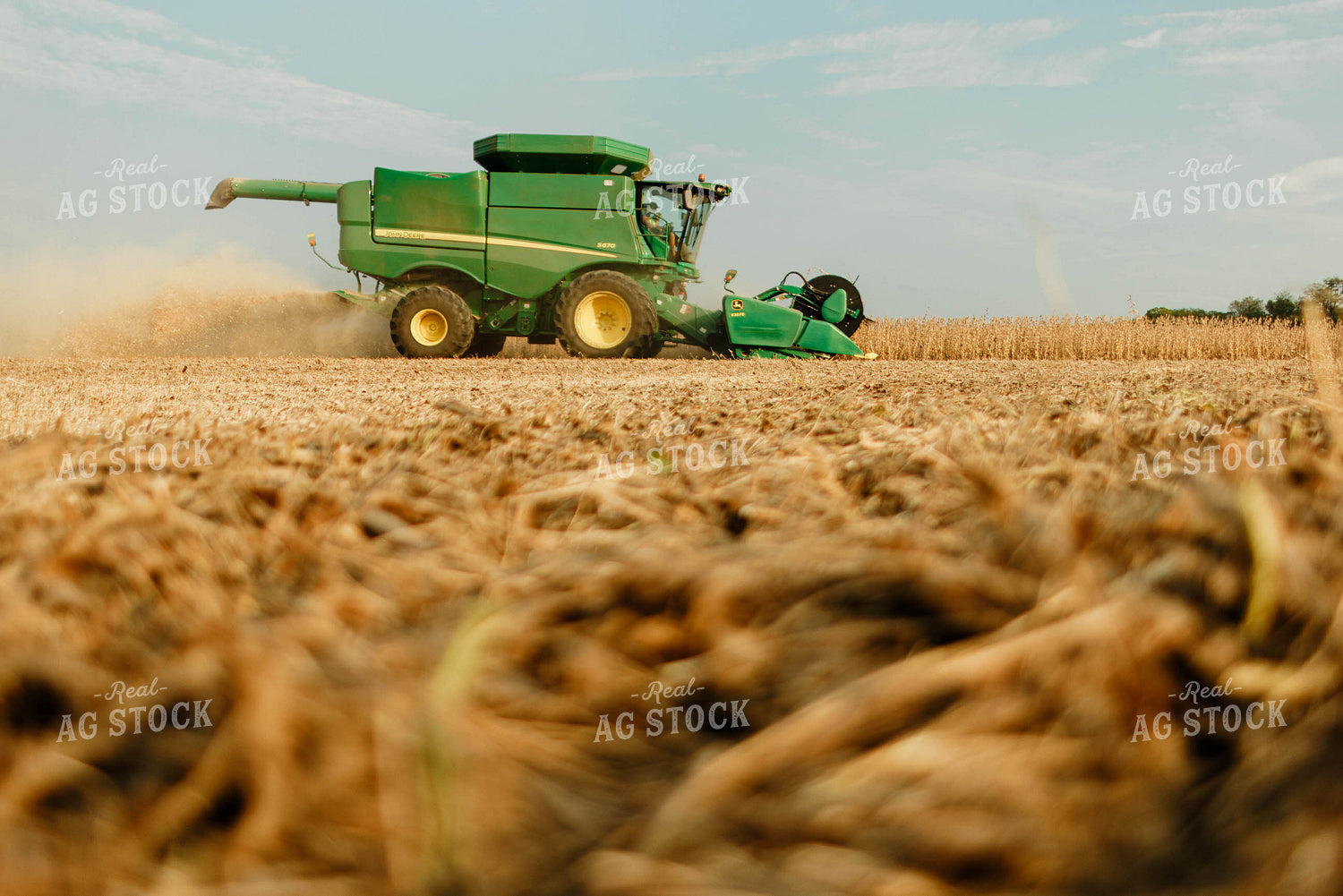 Soybean Harvest 8657