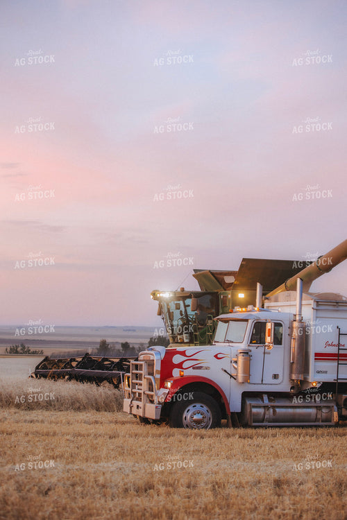 Wheat Harvest 187403