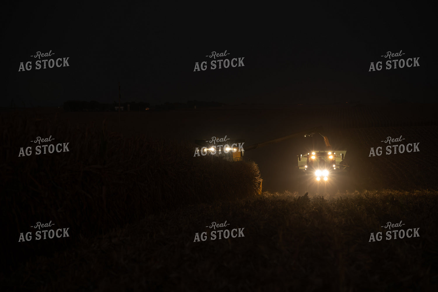Corn Harvest 76497