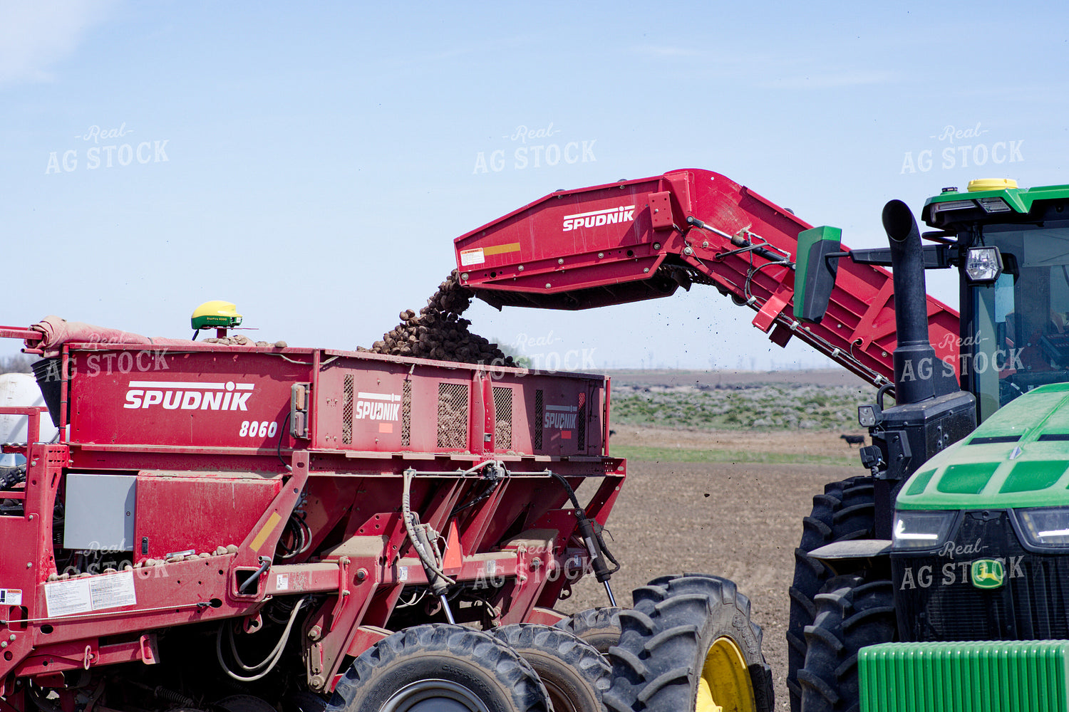 Planting Potatoes 146069