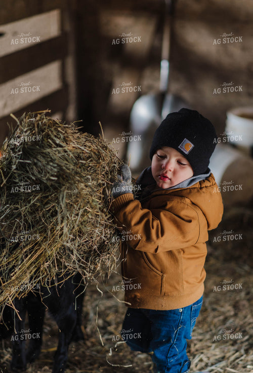 Farm Boy Getting Hay 115024