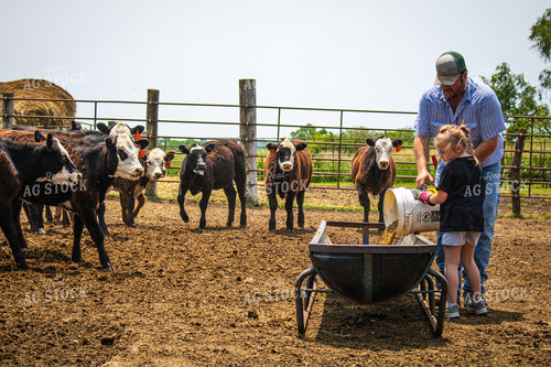 Farmer and Farm Kid Feeding Cattle 214160