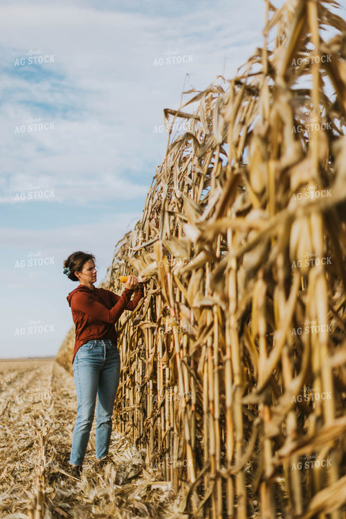 Female Farmer Checking Corn 8518