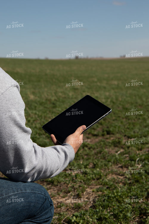 Farmer with iPad in Cover Crops 67208