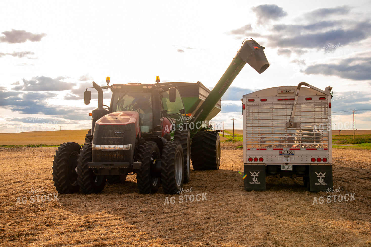 Grain Cart Unloading into Semi 25670