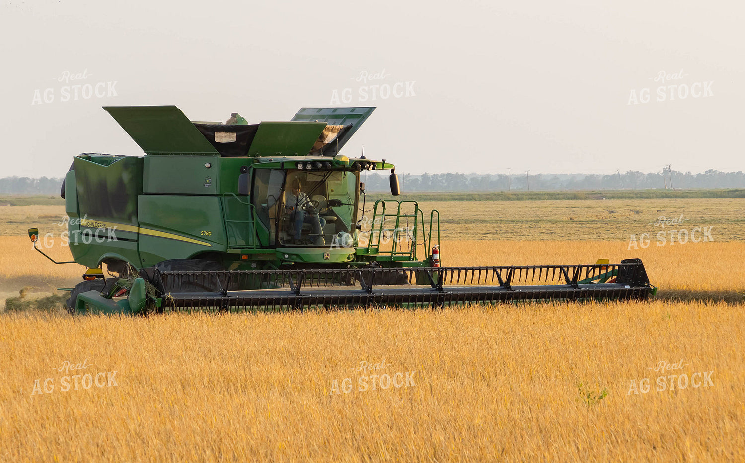 Chisel Plowing 79391