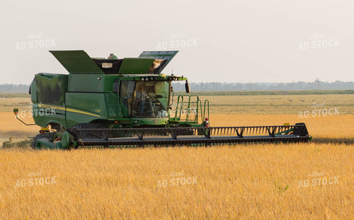 Chisel Plowing 79391