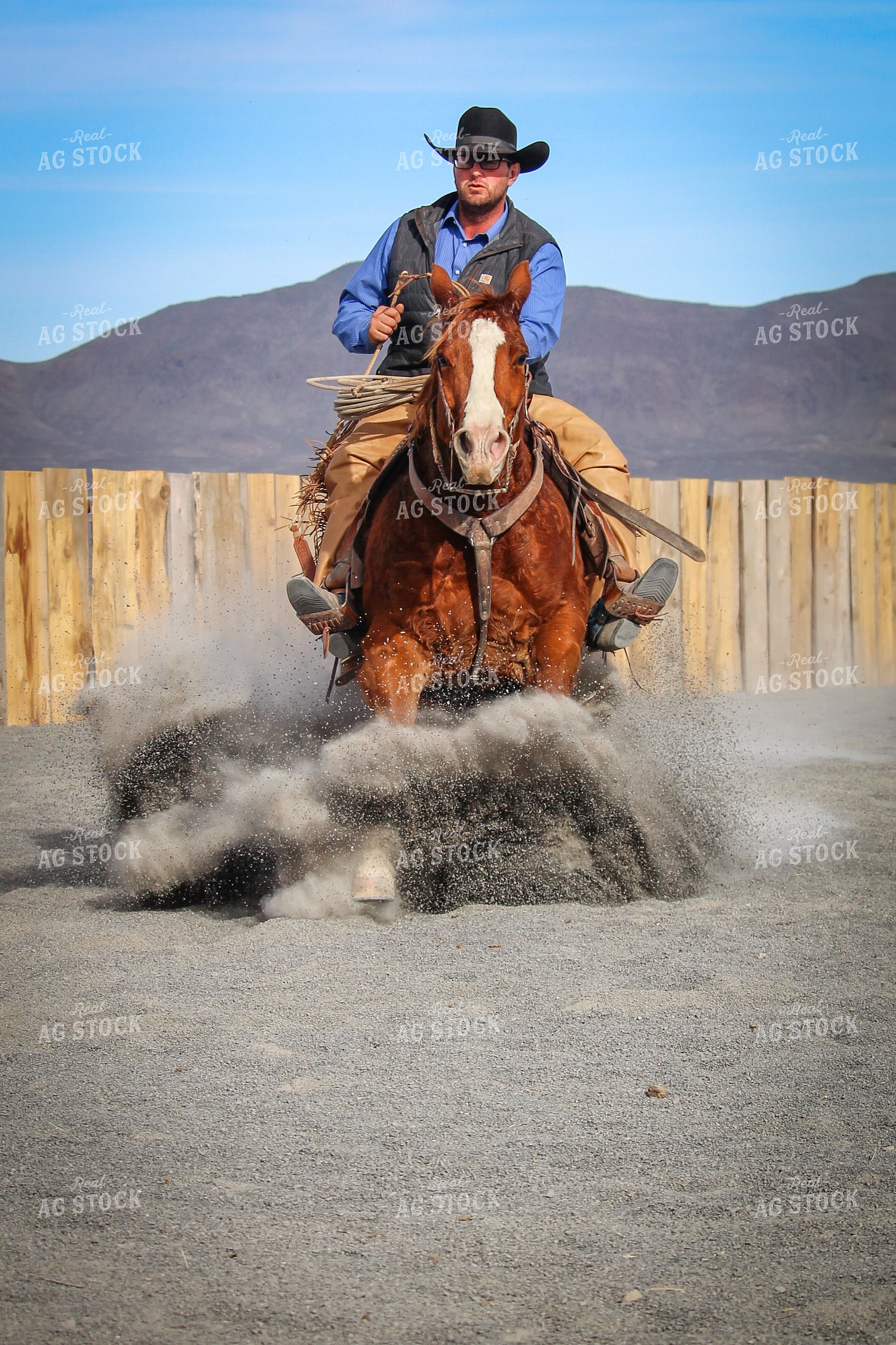 Male Rancher on Horse 78045
