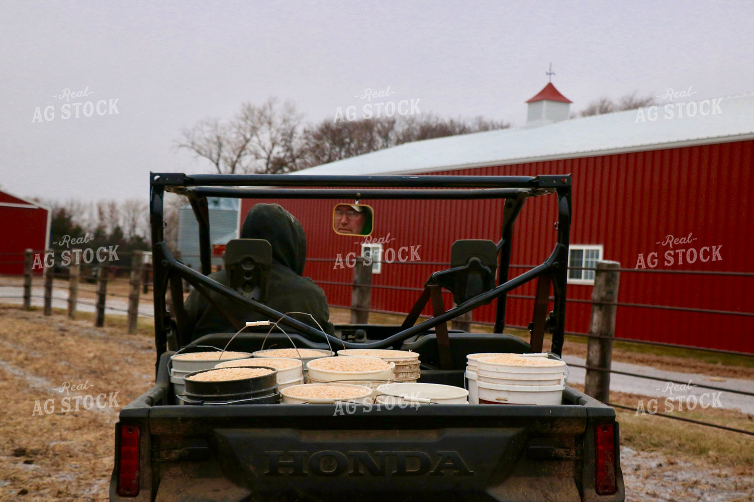 Farmer with Feed Buckets in Side by Side 299294