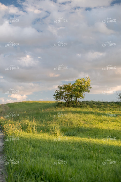 Country Road 76478