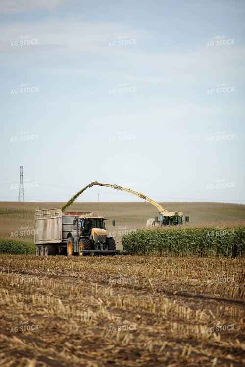 Chopping Corn Silage 296004