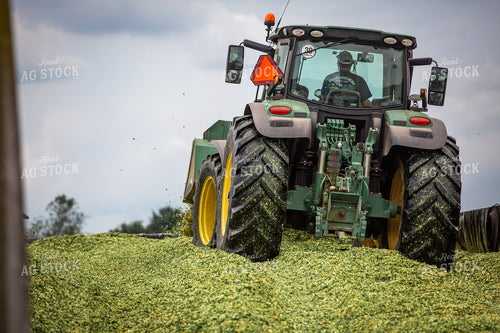 Storing Corn Silage 270608