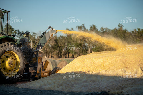 Grinding Corn 212083