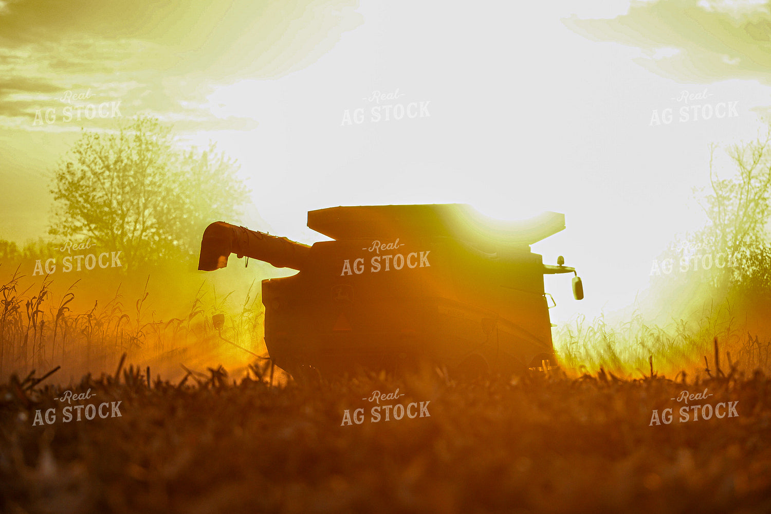 Corn Harvest at Sunset 160376