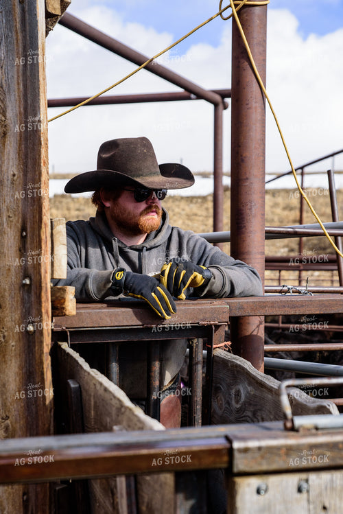 Montana Rancher 51035