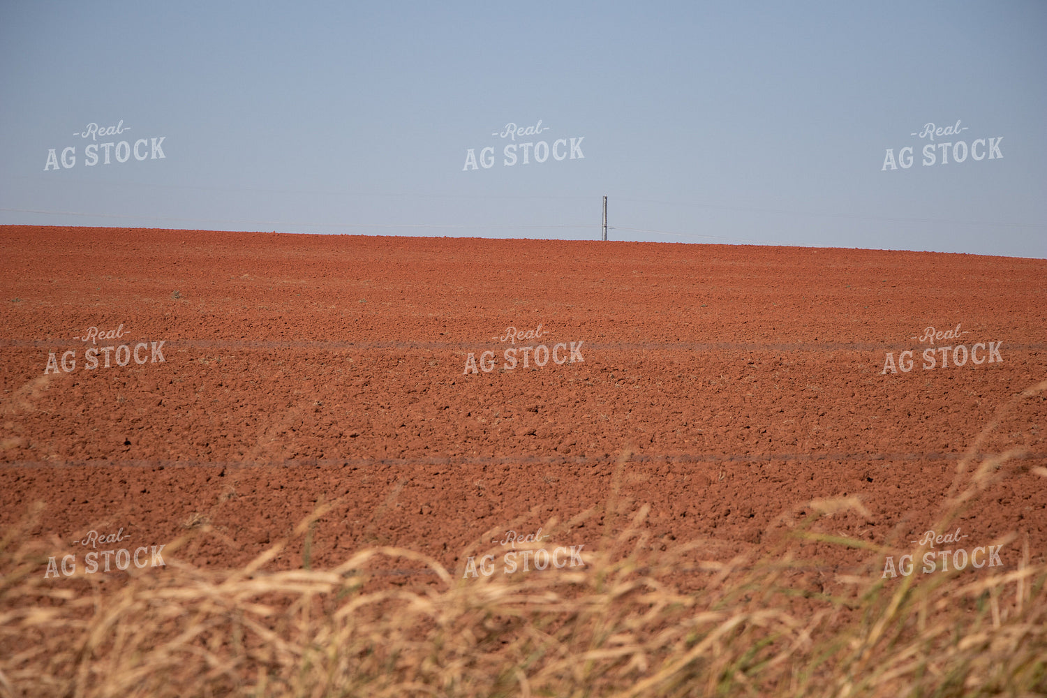 Field of Red Soil 60063