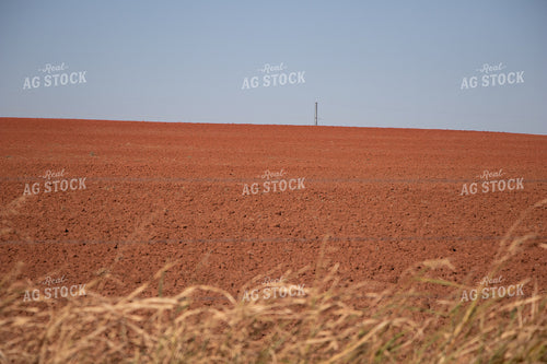 Field of Red Soil 60063