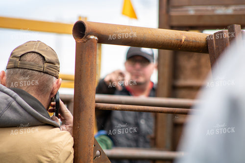 Famers at an Auction Sale 214124