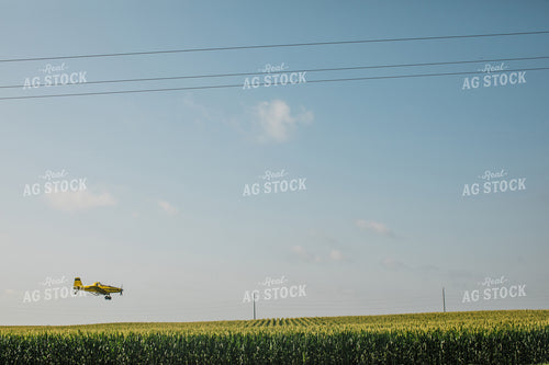 Crop Duster Corn Field 3128